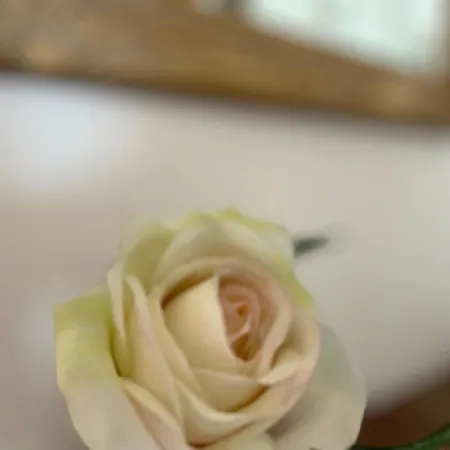 Appartement Haus Thomsen Dachgeschoss *